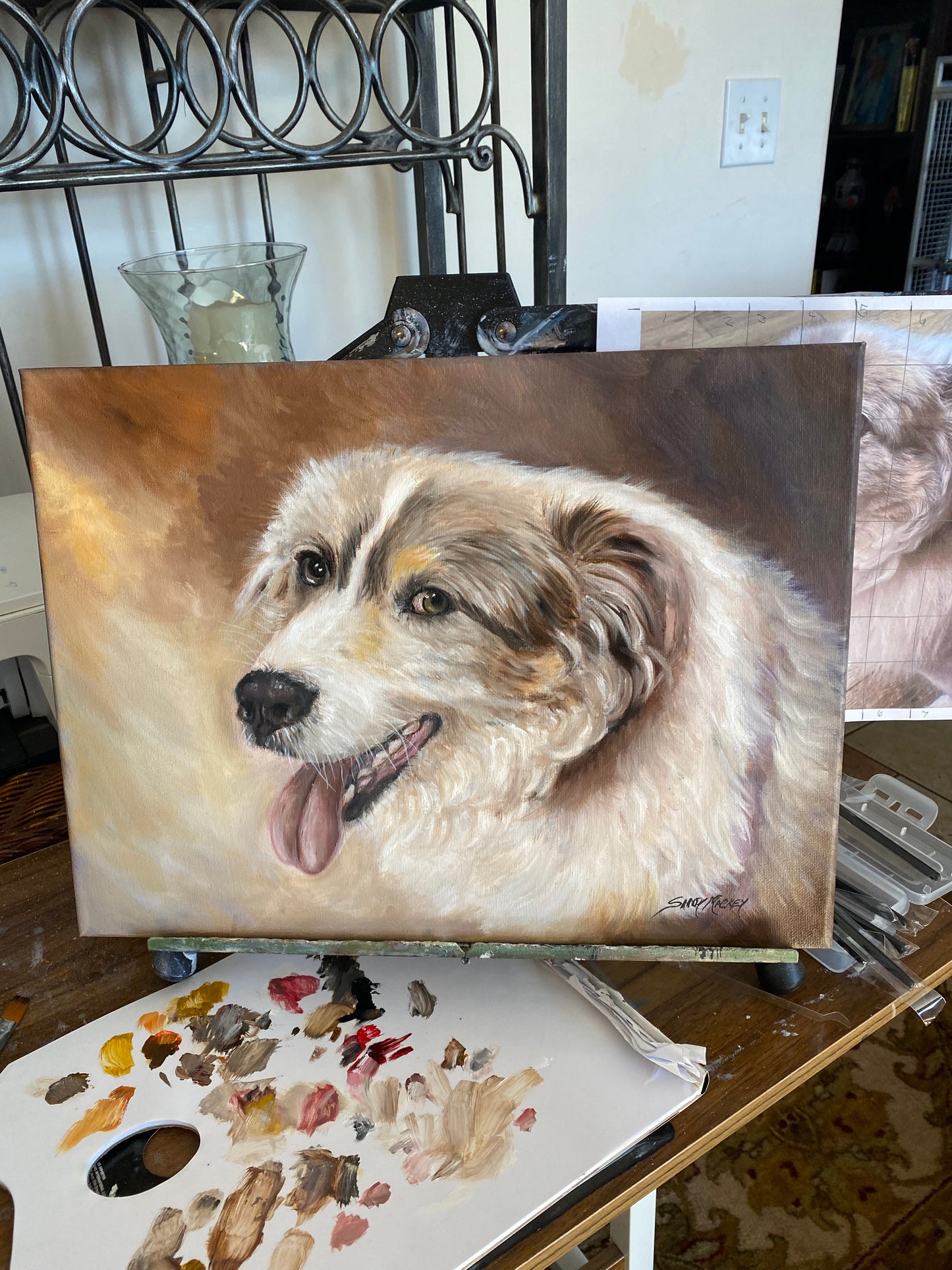 Commissioned pet portraits