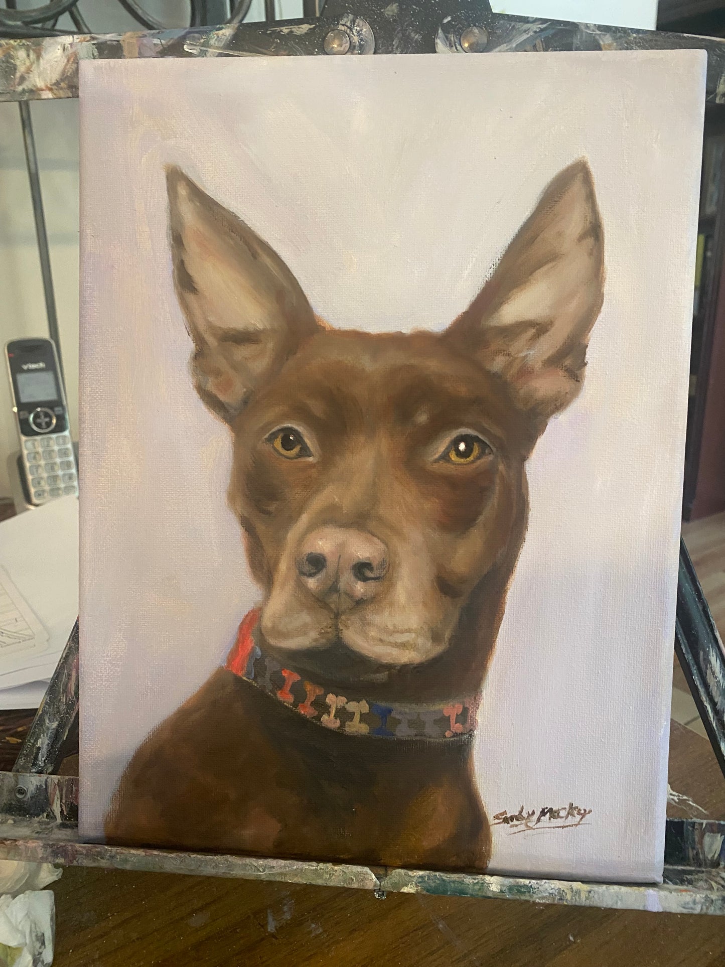 Commissioned pet portraits