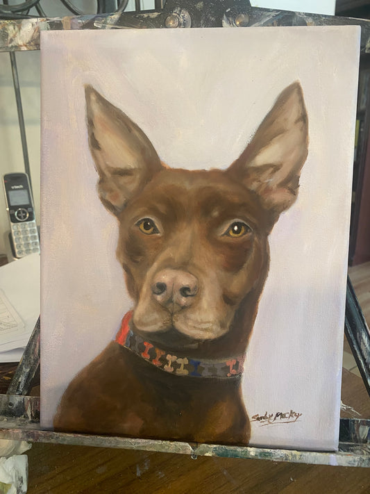 Commissioned pet portraits